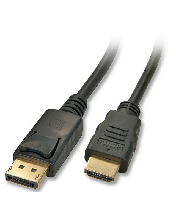 Lindy 41483 câble vidéo et adaptateur 5 m DisplayPort HDMI Noir