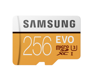 Samsung MB-MP256G mémoire flash 256 Go MicroSDXC Classe 10 UHS-I