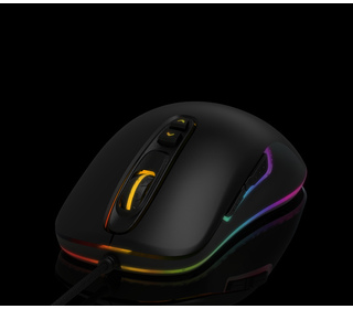 QPAD DX-30 souris USB Type-A Opto-mécanique 2800 DPI Ambidextre