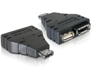 DeLOCK Adapter Power-over-eSATA  1x eSATA/1x USB 1xeSATA, 1xUSB Noir