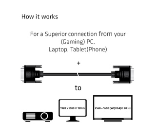 38448962