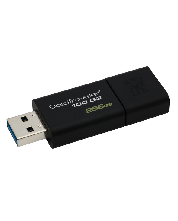 Kingston Technology DataTraveler 100 G3 lecteur USB flash 256 Go USB Type-A 3.2 Gen 1 (3.1 Gen 1) Noir