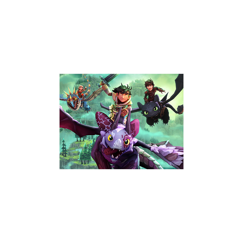 BANDAI NAMCO Entertainment Dragons Dawn of New Riders, Nintendo Switch Standard Nintendo GameCube