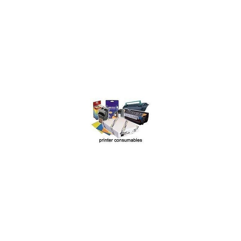 Epson Pap Adhésif Synthétique Supérieur 135g 24" (0,610x30,5m)