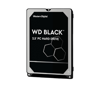 Western Digital WD_Black 2.5" 500 Go Série ATA III