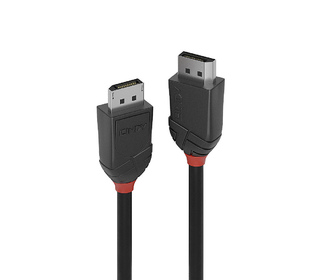 Lindy 36491 câble DisplayPort 1 m Noir
