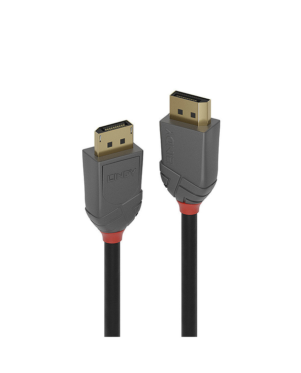 Lindy 36484 câble DisplayPort 5 m Noir, Gris