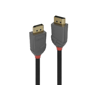 Lindy 36481 câble DisplayPort 1 m Noir, Gris
