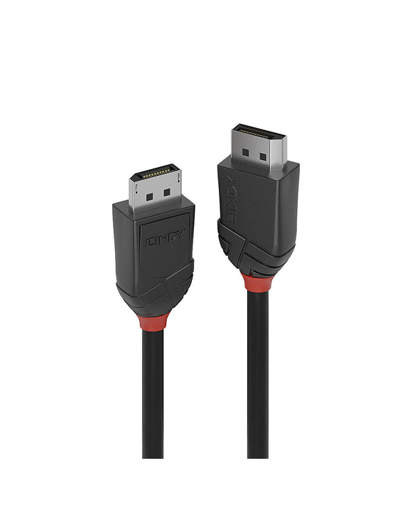 Lindy 36492 câble DisplayPort 2 m Noir