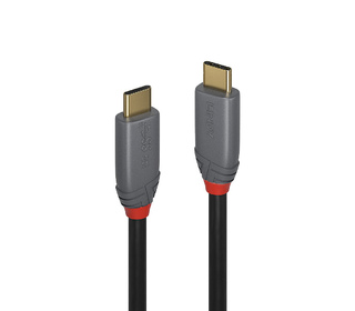 Lindy 36900 câble USB 0,5 m USB C Noir, Gris
