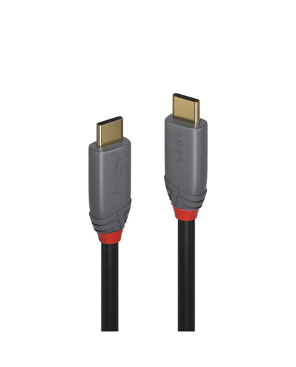 Lindy 36900 câble USB 0,5 m USB C Noir, Gris