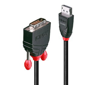 Lindy 41490 câble vidéo et adaptateur 1 m DVI-D DisplayPort Noir