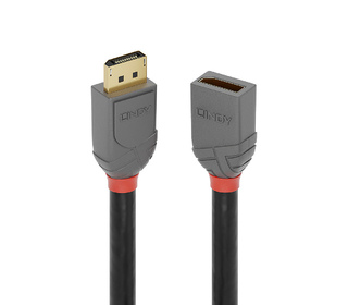 Lindy 36495 câble DisplayPort 0,5 m Noir