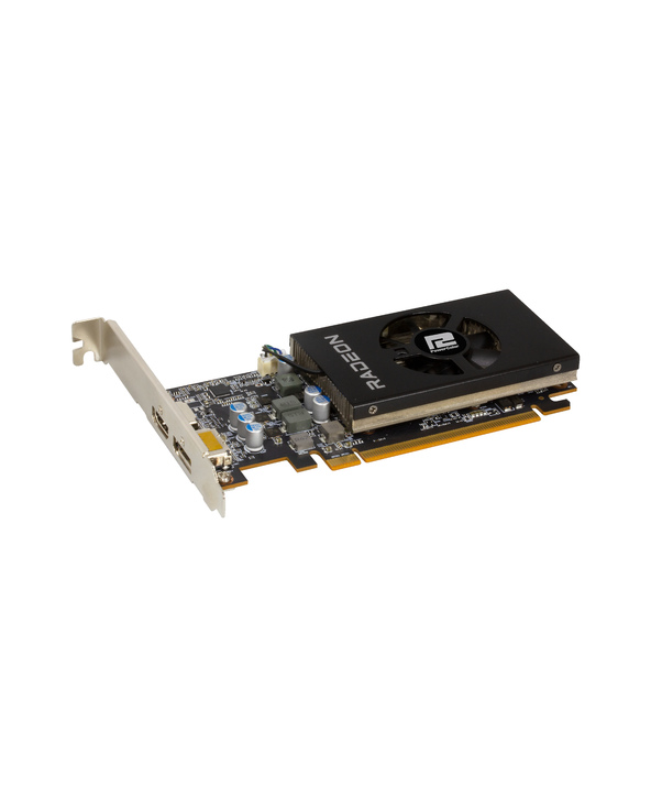 PowerColor AXRX 6400 LP 4GBD6-DH carte graphique AMD Radeon RX 6400 4 Go GDDR6