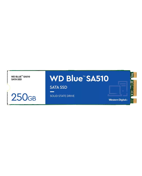 Western Digital Blue SA510 M.2 250 Go Série ATA III