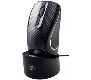 Mobility Lab WR 100 souris Droitier RF sans fil Optique 800 DPI