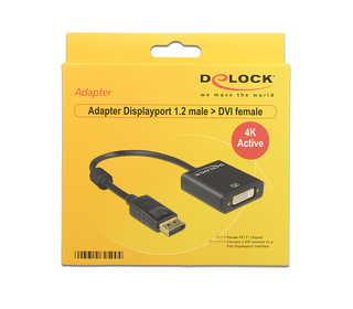 DeLOCK 62599 câble vidéo et adaptateur 0,2 m DisplayPort DVI-I Noir