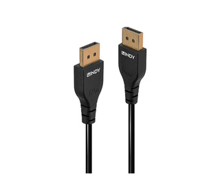 Lindy 36461 câble DisplayPort 1 m Noir
