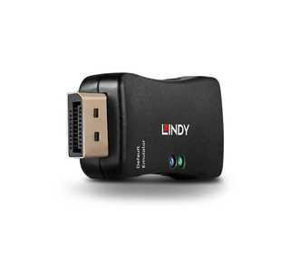 Lindy 32116 changeur de genre de câble DisplayPort Noir