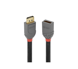 Lindy 36496 câble DisplayPort 1 m Noir