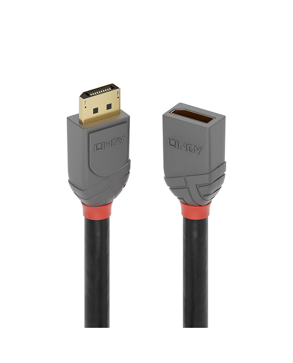 Lindy 36496 câble DisplayPort 1 m Noir