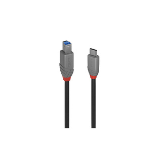 Lindy 36666 câble USB 1 m USB 3.2 Gen 1 (3.1 Gen 1) USB C USB B Noir