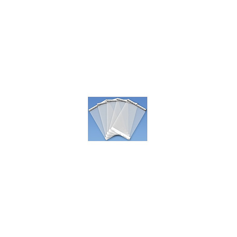 Ricoh Feuille de transport