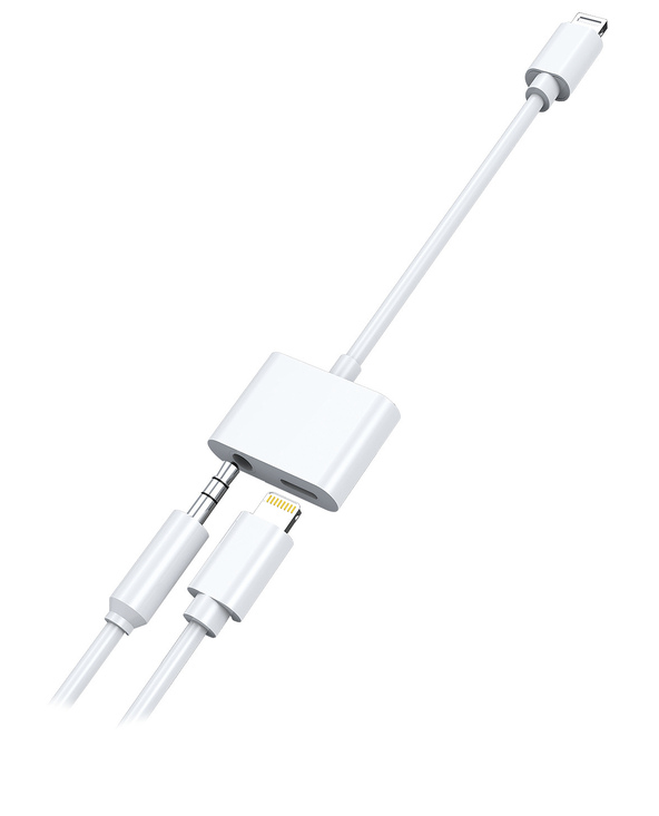 2GO 797239 câble Lightning 0,1 m Blanc