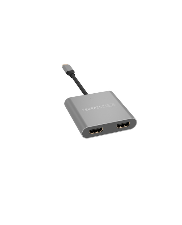 Terratec Connect C10 adaptateur graphique USB Gris