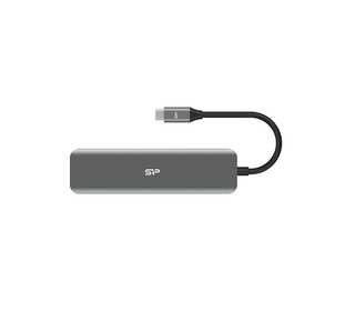 Silicon Power Boost SU20 USB 3.2 Gen 1 (3.1 Gen 1) Type-C Gris