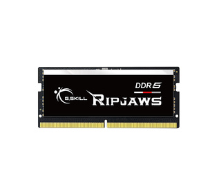 G.Skill Ripjaws F5-4800S4039A16GX1-RS module de mémoire 16 Go 1 x 16 Go DDR5 4800 MHz