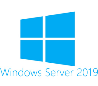 Microsoft Windows Server 2019 5 licence(s) Licence Anglais