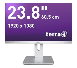 75275261