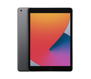 Apple iPad 10.2" 32 Go Gris
