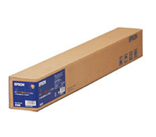 Epson Pap Photo Premium Lustré 260g (0,300x30,5m)