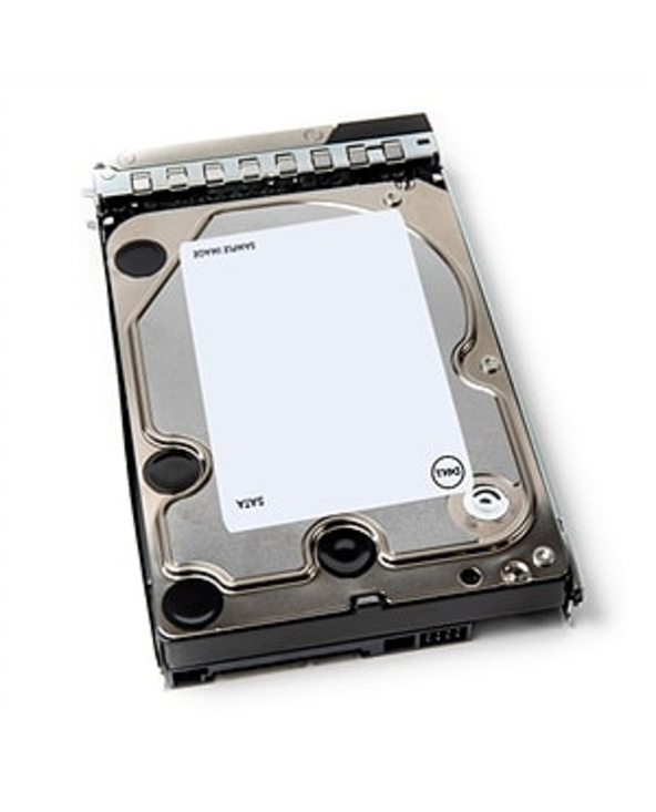 DELL 401-ABHY disque dur 3.5" 12 To Série ATA III
