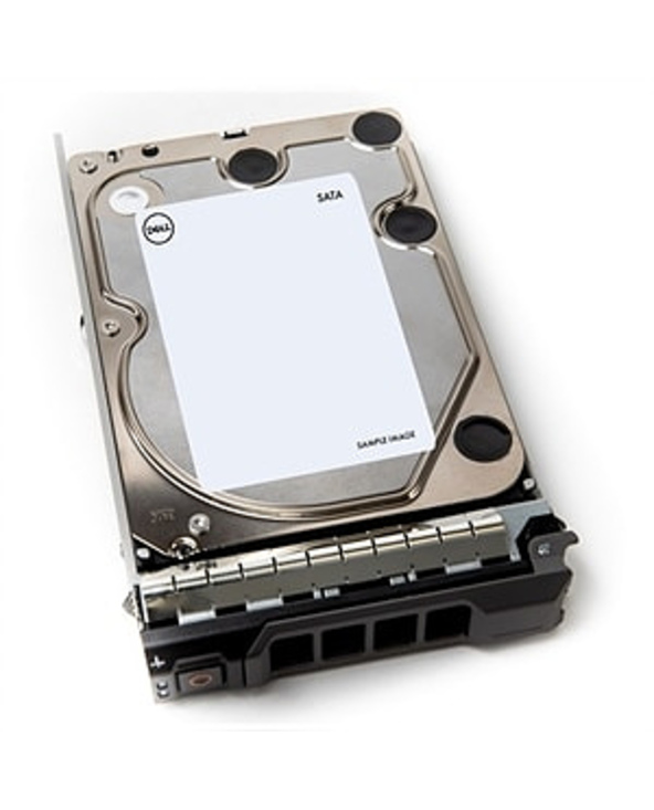 DELL 400-AUWK disque dur 3.5" 12 To Série ATA III