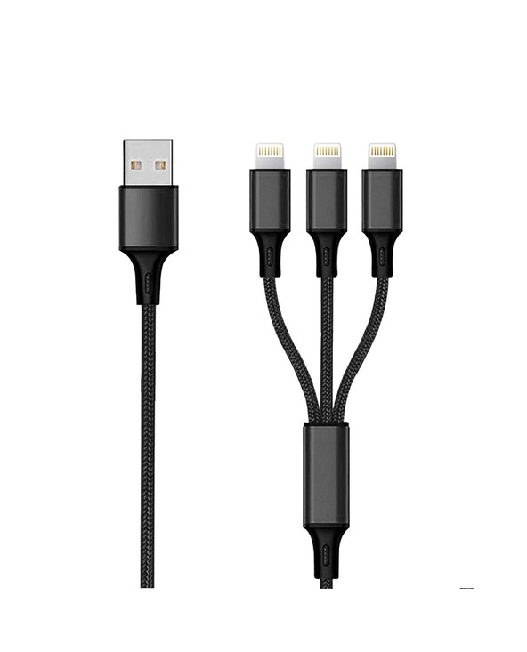 2GO 797155 câble Lightning 1,5 m Noir