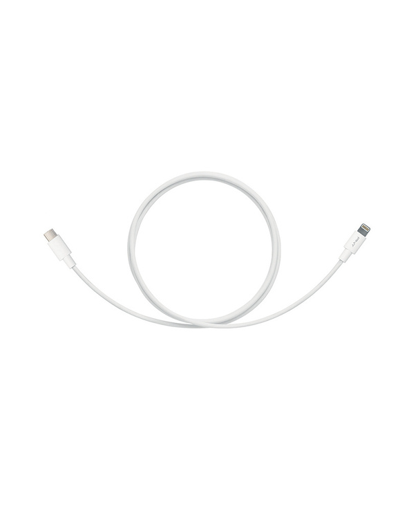 PNY C-TC-LN-W01-04 câble Lightning 1,2 m Blanc