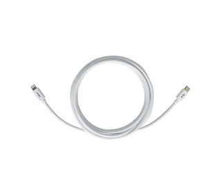 PNY C-TC-LN-W01-10 câble Lightning 3 m Blanc
