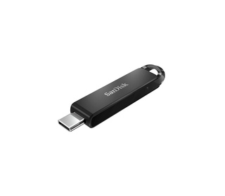 SanDisk SDCZ460-256G-G46 lecteur USB flash 256 Go USB Type-C 3.2 Gen 1 (3.1 Gen 1) Noir
