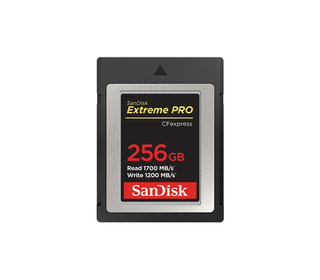 SanDisk SDCFE-256G-GN4NN mémoire flash 256 Go CFexpress