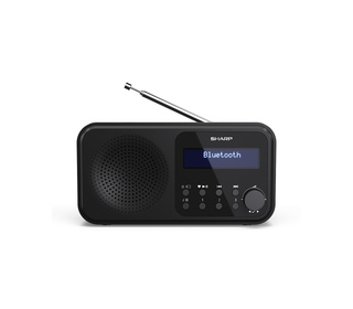Sharp DR-P420 Portable Numérique Noir