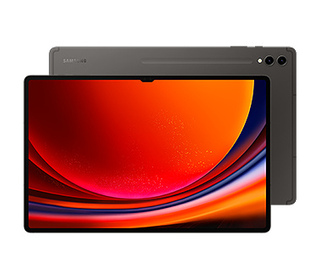 Samsung Galaxy Tab S9 Ultra SM-X910N 14.6" 256 Go Graphite