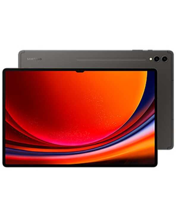 Samsung Galaxy Tab S9 Ultra SM-X910N 14.6" 256 Go Graphite