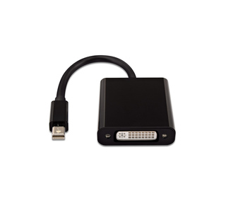 V7 Adaptateur vidéo Mini-DisplayPort mâle vers DVI-D mâle, noir