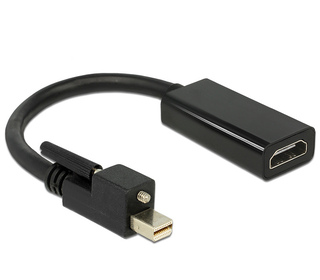 DeLOCK 62640 câble vidéo et adaptateur 0,25 m Mini DisplayPort HDMI Noir