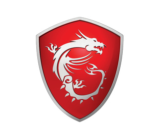 MSI Oculux NXG253R 24.5" LCD Full HD 1 ms Noir