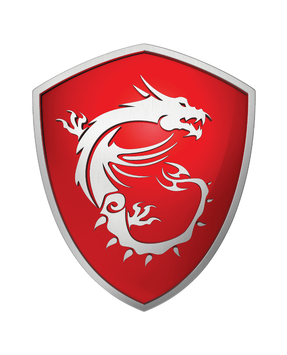 MSI Oculux NXG253R 24.5" LCD Full HD 1 ms Noir