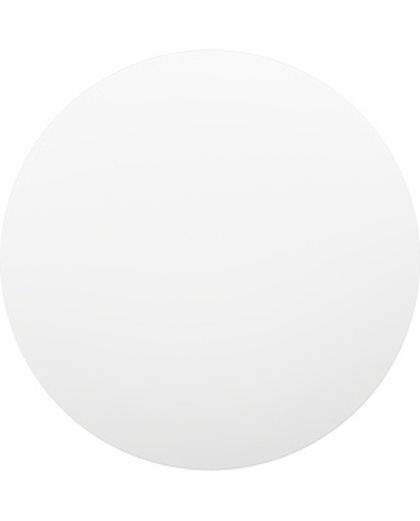 Xiaomi Mi Smart LED Ceiling Light (350mm) Éclairage de plafond intelligent Wi-Fi/Bluetooth Blanc 24 W